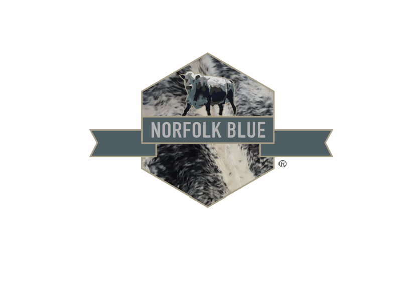 Norfolk Blue Logo